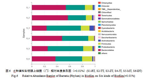 填料生物膜上細菌